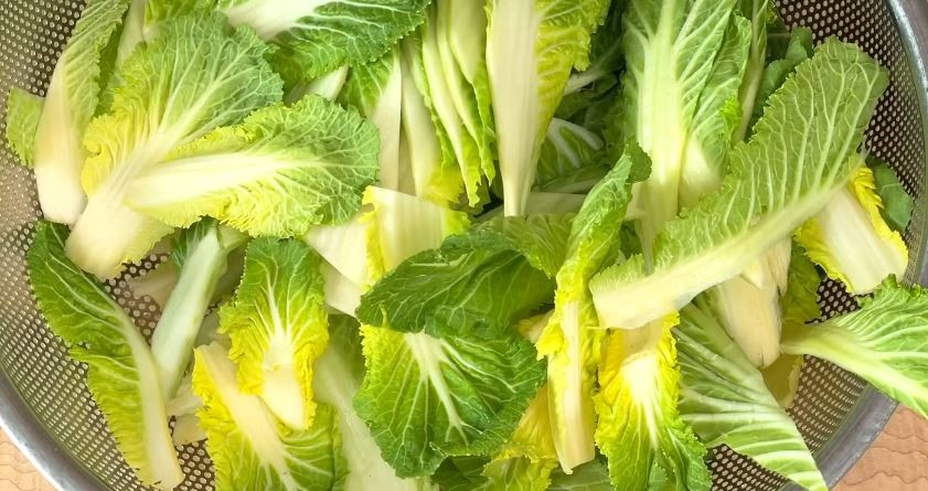 유튜브 '딸을 위한 레시피 Recipes for daughters'