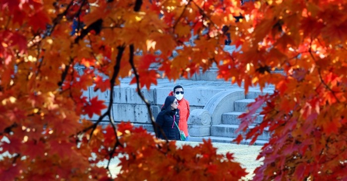 기사의 이해를 돕기 위한 사진 / 뉴스1
