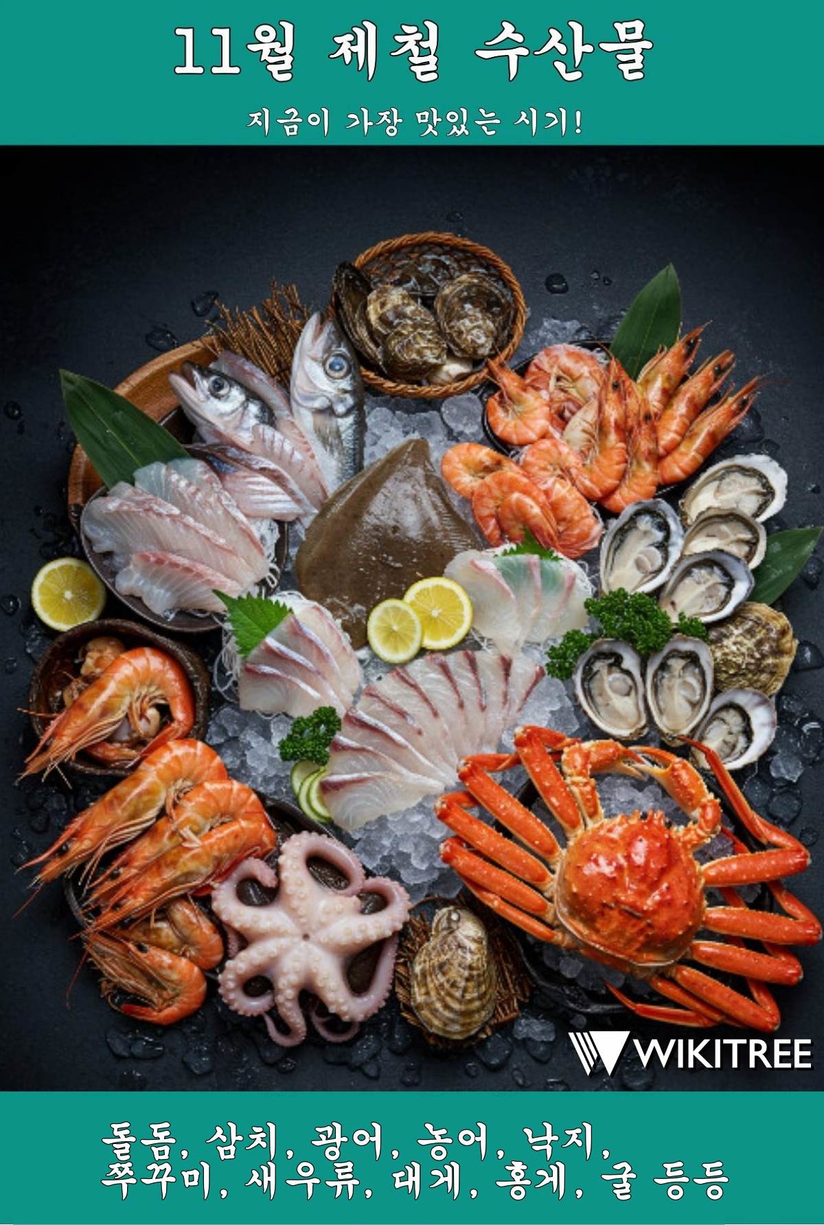 유명 수산물 유튜버 입질의추억 설명 토대로 제작한 11월 제철 수산물 포스터. / 위키트리