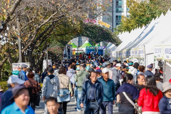 국화축제 / 익산시