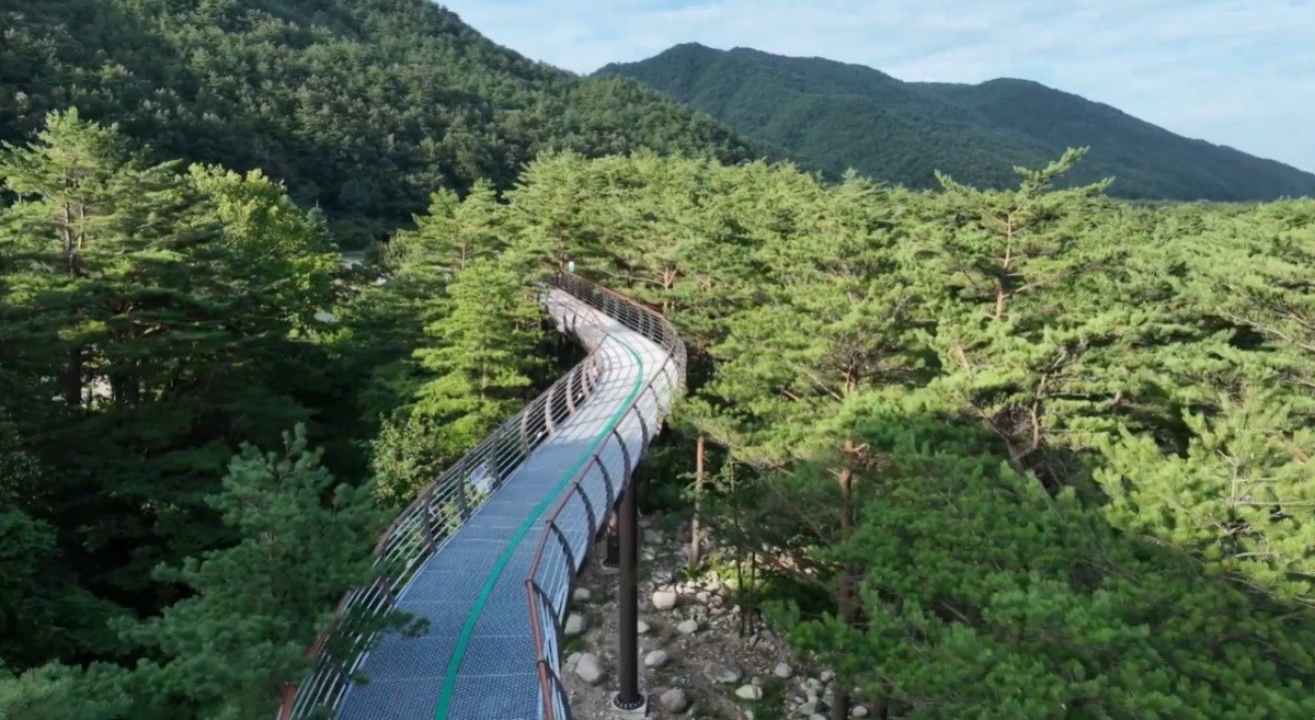 설악향기로. / 유튜브 '여수MBCPrime'