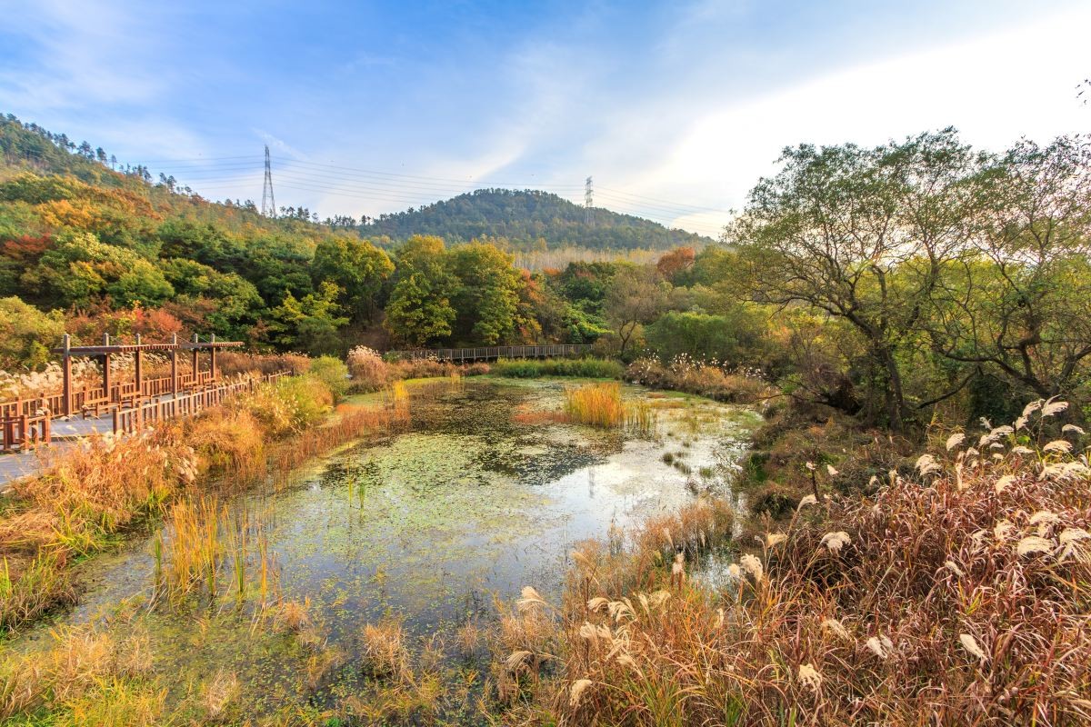 고창 운곡습지. / cstrike-shutterstock.com