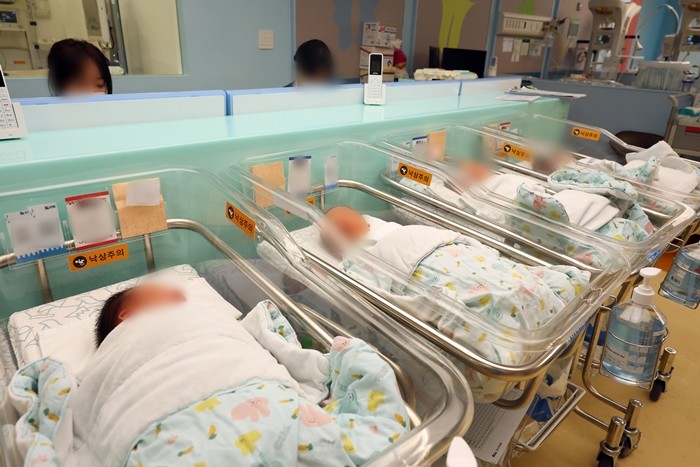 기사의 이해를 돕기 위한 사진 / 뉴스1