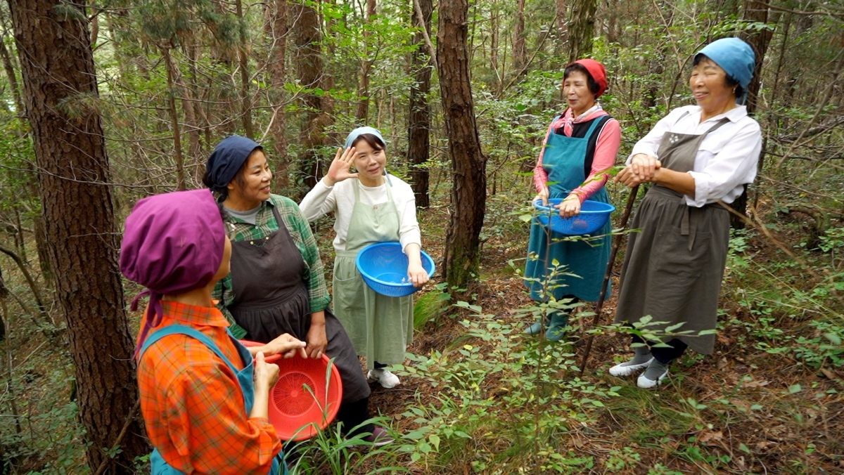 EBS1 '한국기행' 미리보기 페이지에서 제공하는 '바람골 언니들' 편 자료 사진. / EBS1 제공