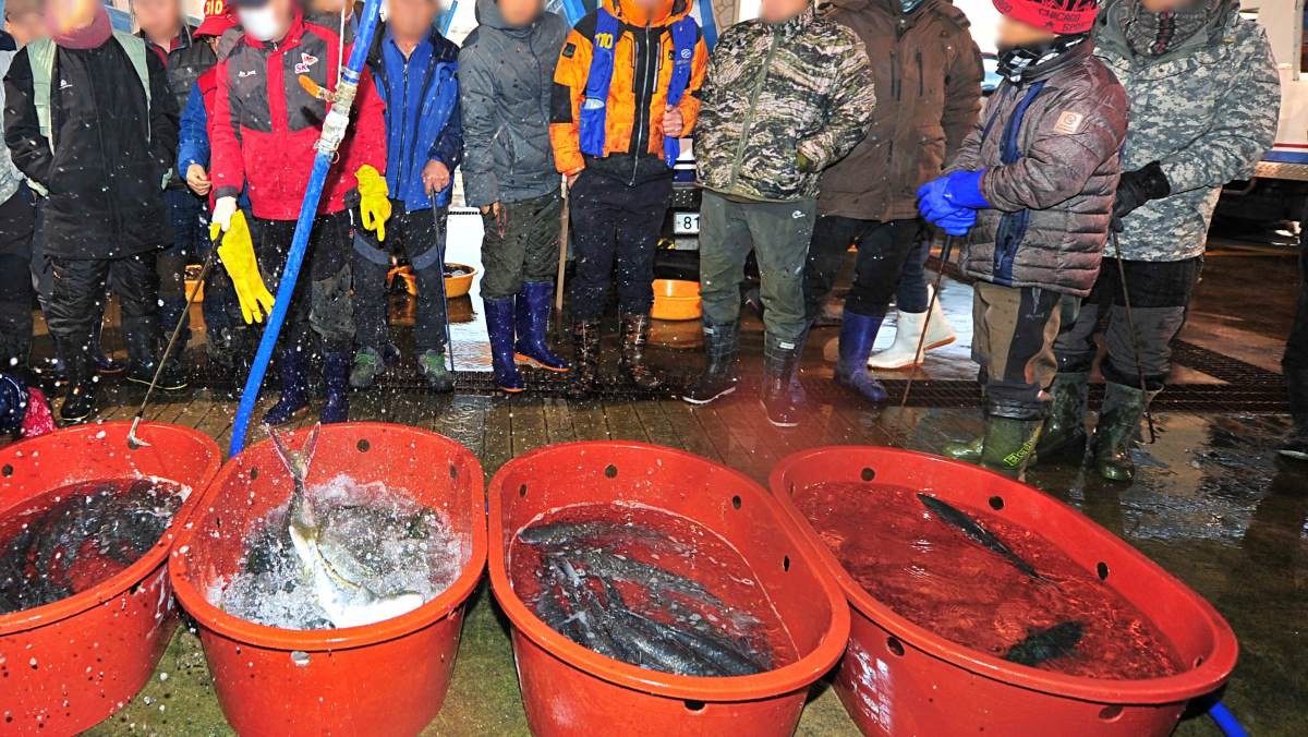 자료사진. 경매장의 방어들. / 뉴스1