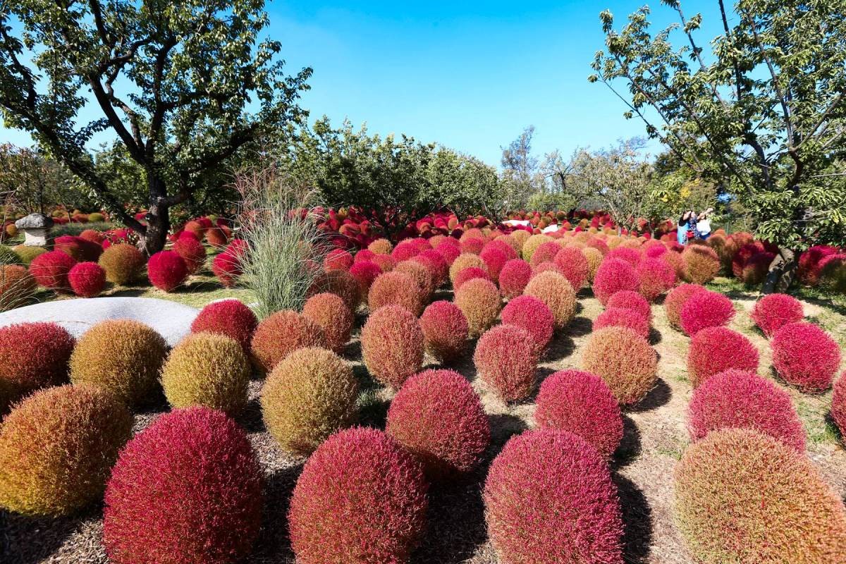 하늘매화길 모습. / 뉴스1