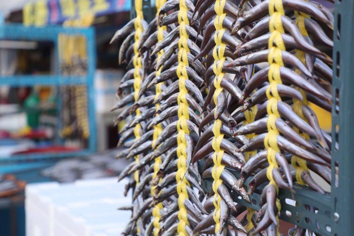 속초의 한 식당에 양미리가 가득 매달려 있다. / 연합뉴스