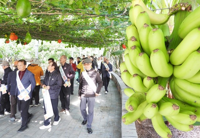 회원들이 아열대농업관을 관람하고 있다.