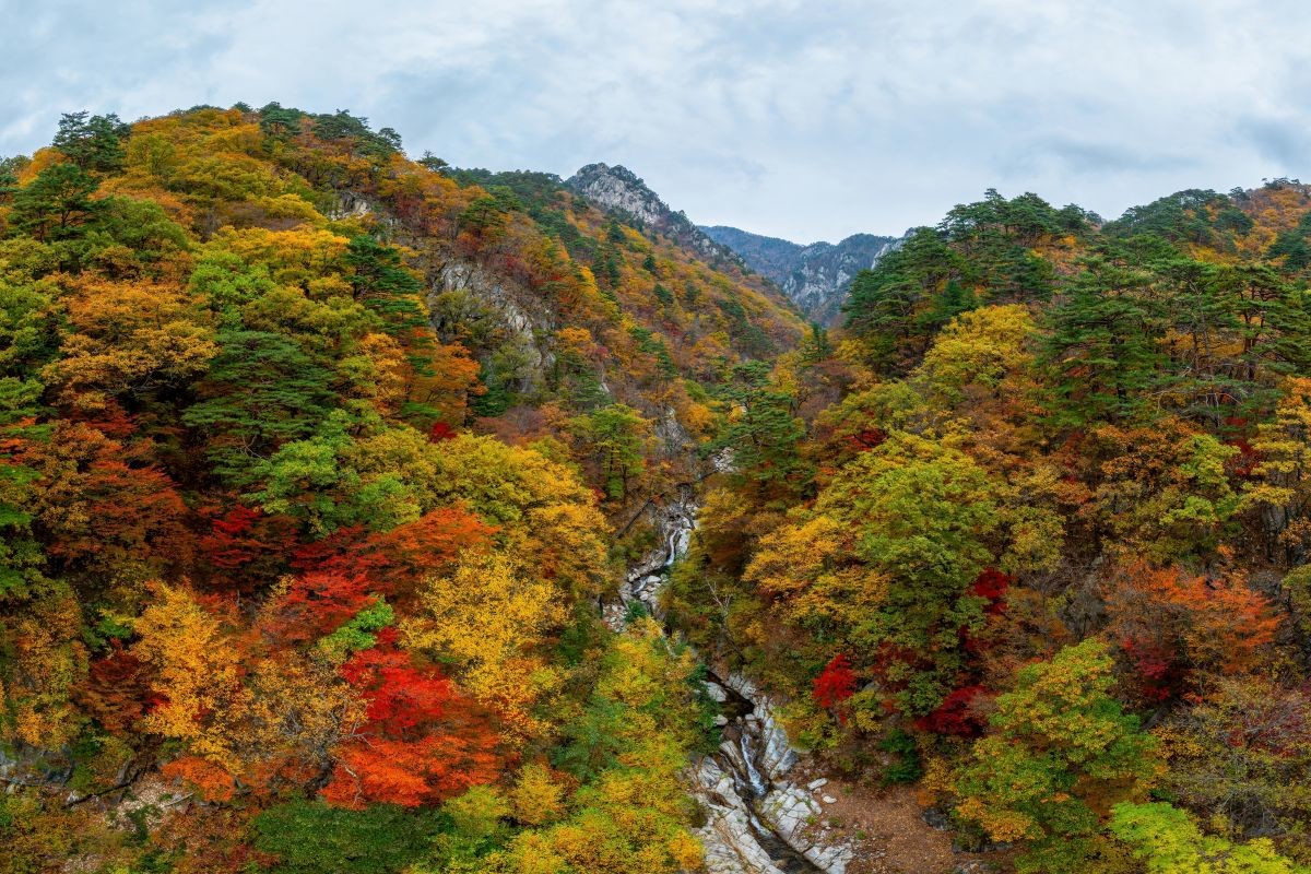 설악산. / Stock for you-shutterstock.com
