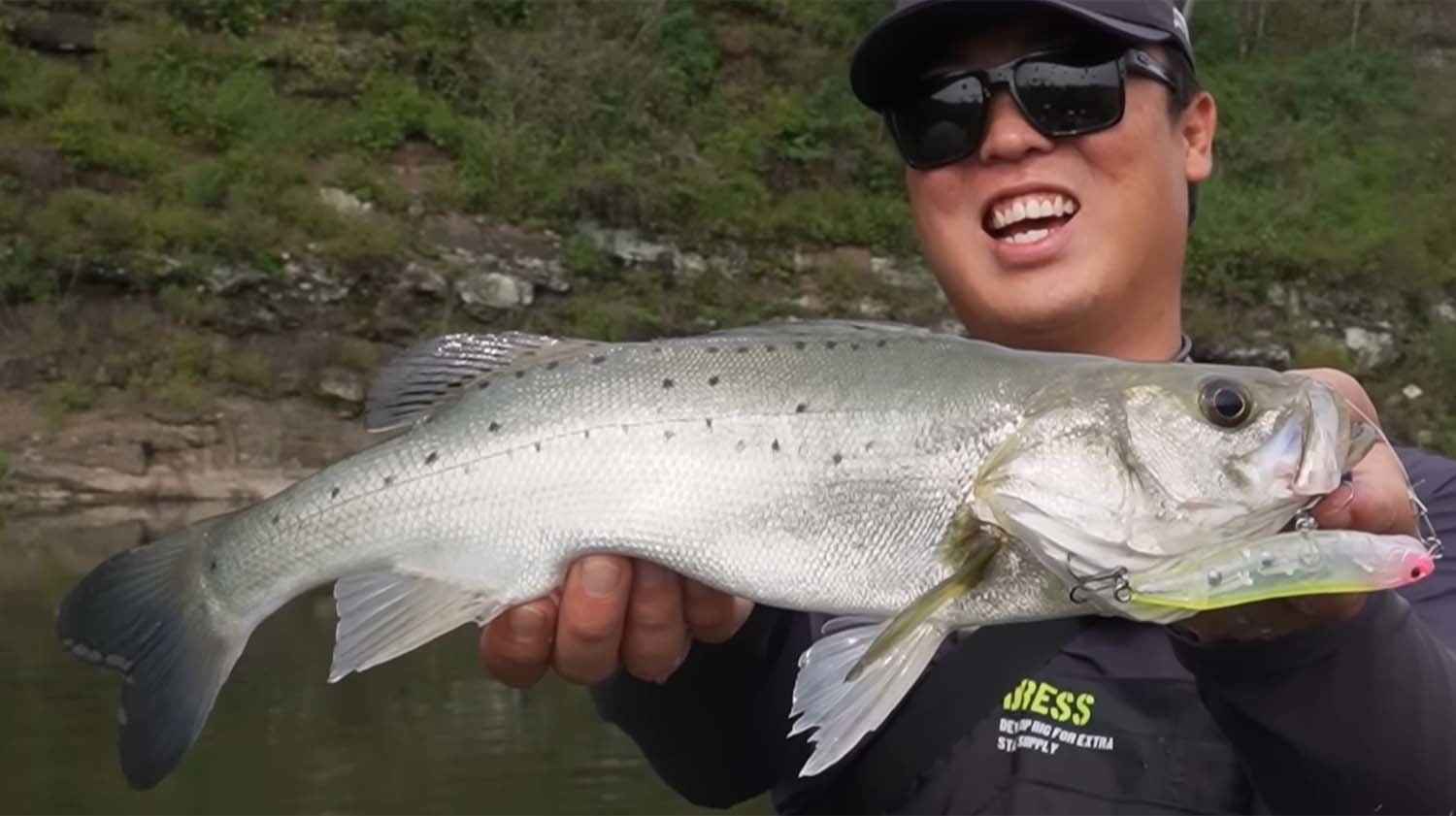 시골 하천에서 잡힌 점농어. / '동네낚시꾼' 유튜브