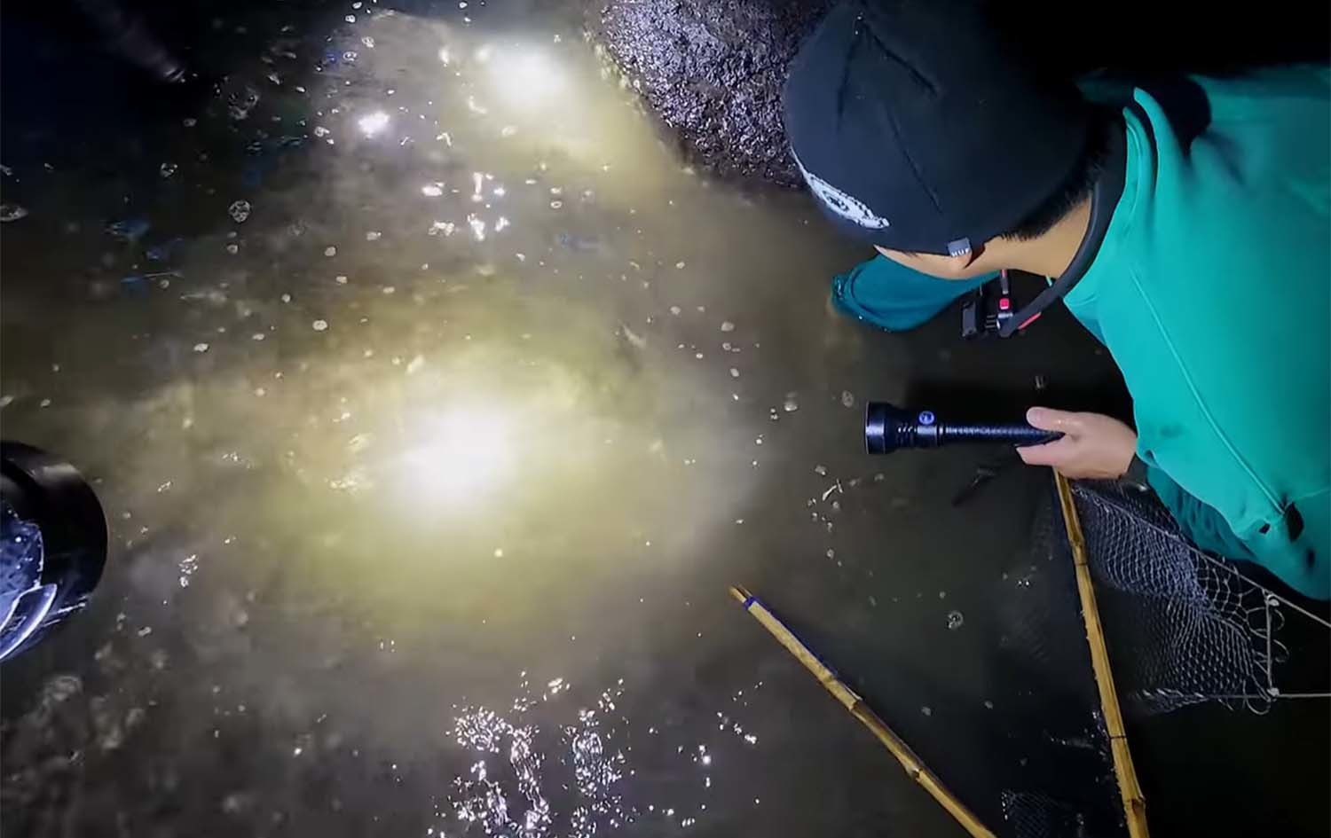 톱날꽃게를 잡는 모습. / '브루스리 TV'