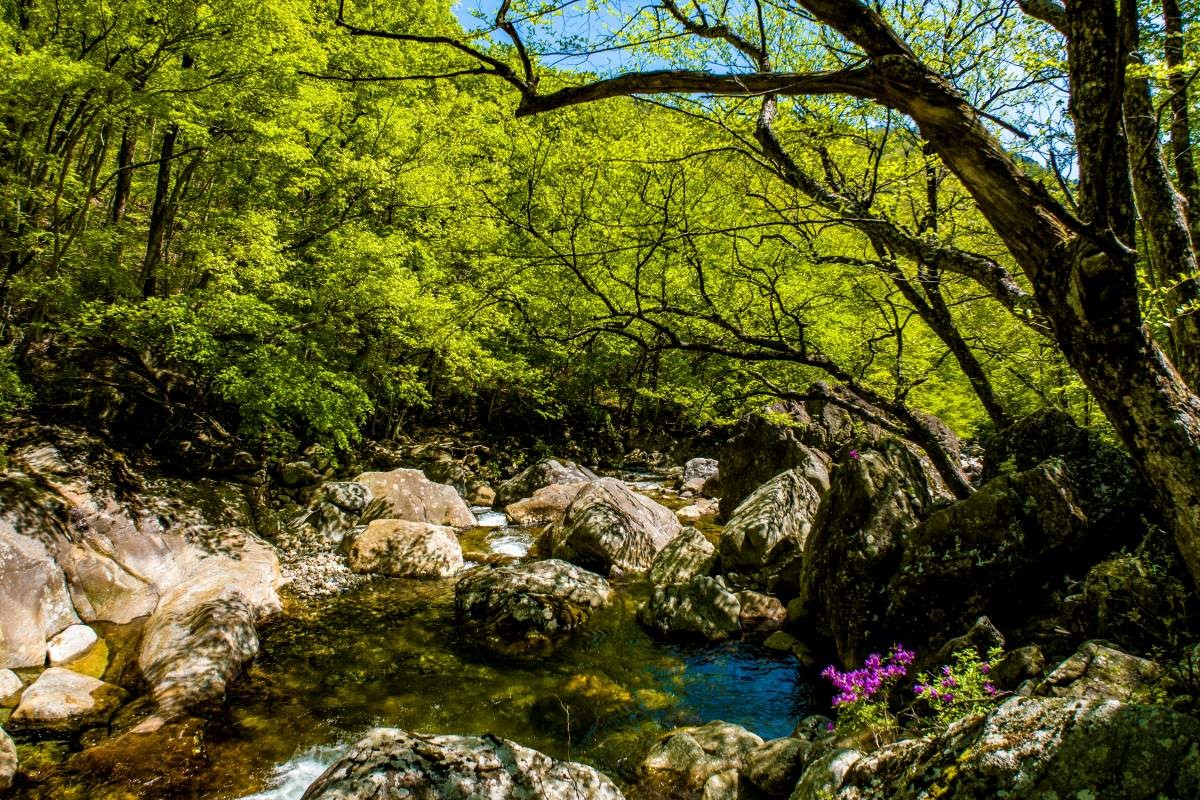 지리산 피아골. / Jun hyun-shutterstock.com