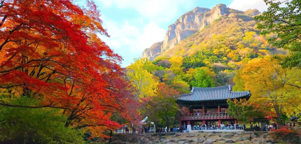 장성 백양사. / 유튜브 '여행브로셔 - 출발 전에 꼭 봐야해!'