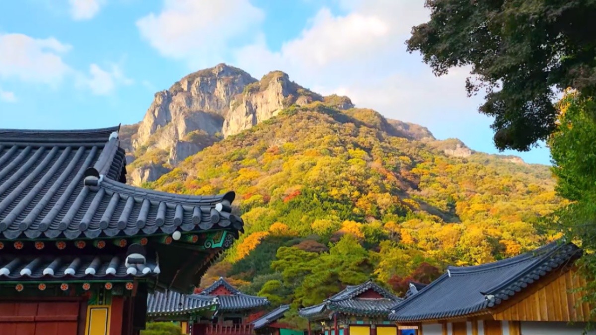 장성 백양사. / 유튜브 '여행브로셔 - 출발 전에 꼭 봐야해!' 영상 캡쳐