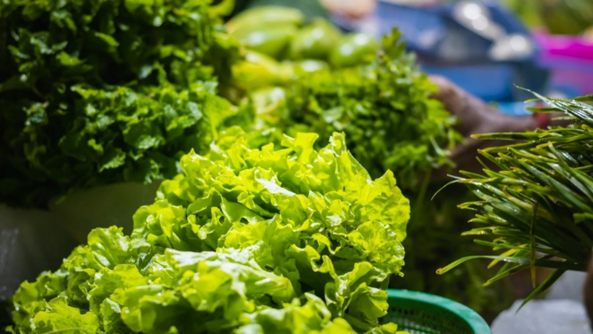 채소 자료사진 / suparna hazra-shutterstock.com