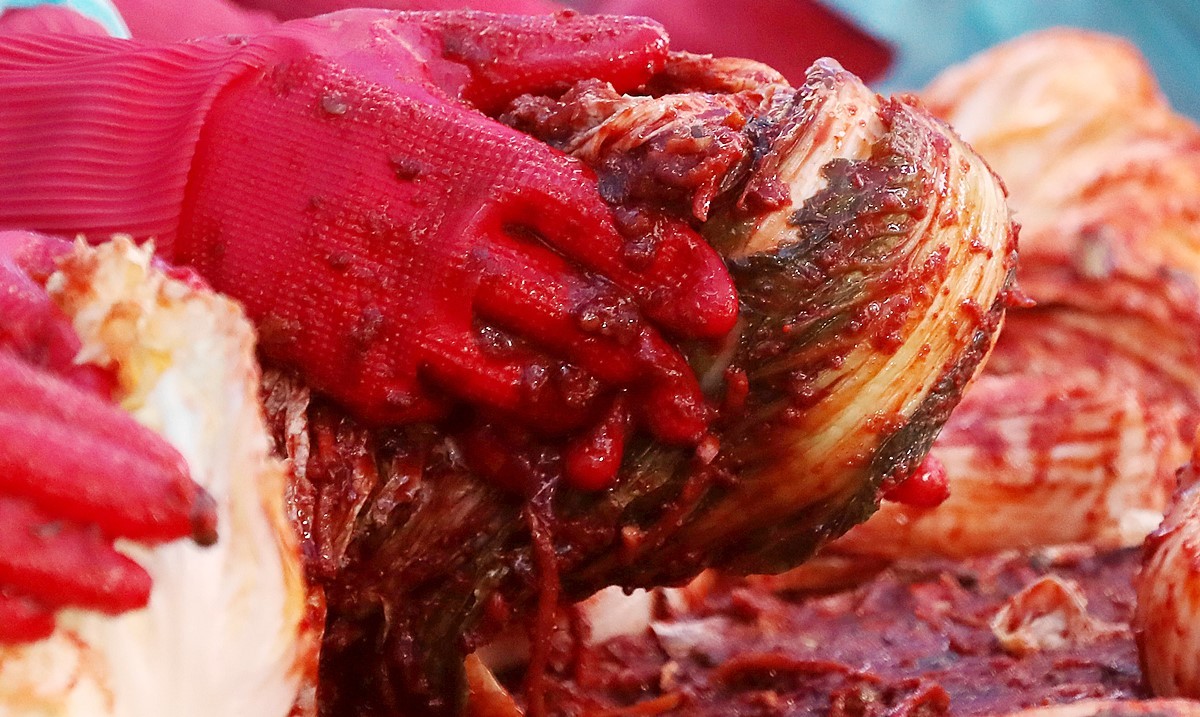 김장김치 모습. 기사 이해를 돕기 위한 자료 사진 / 연합뉴스