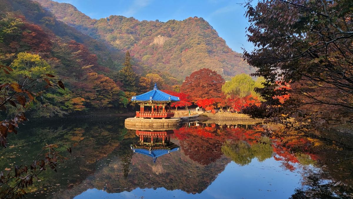 내장산 우화정. / 연합뉴스