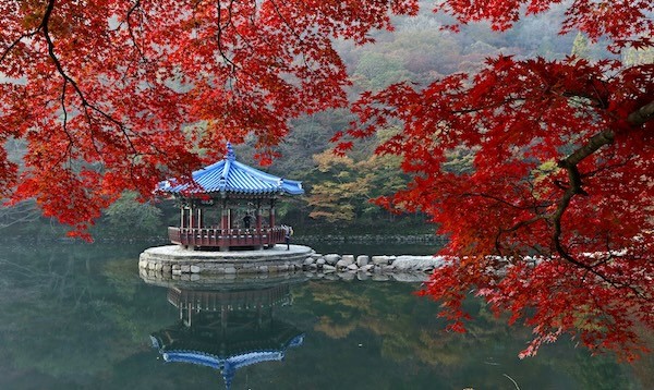 정읍 내장산 / 정읍시