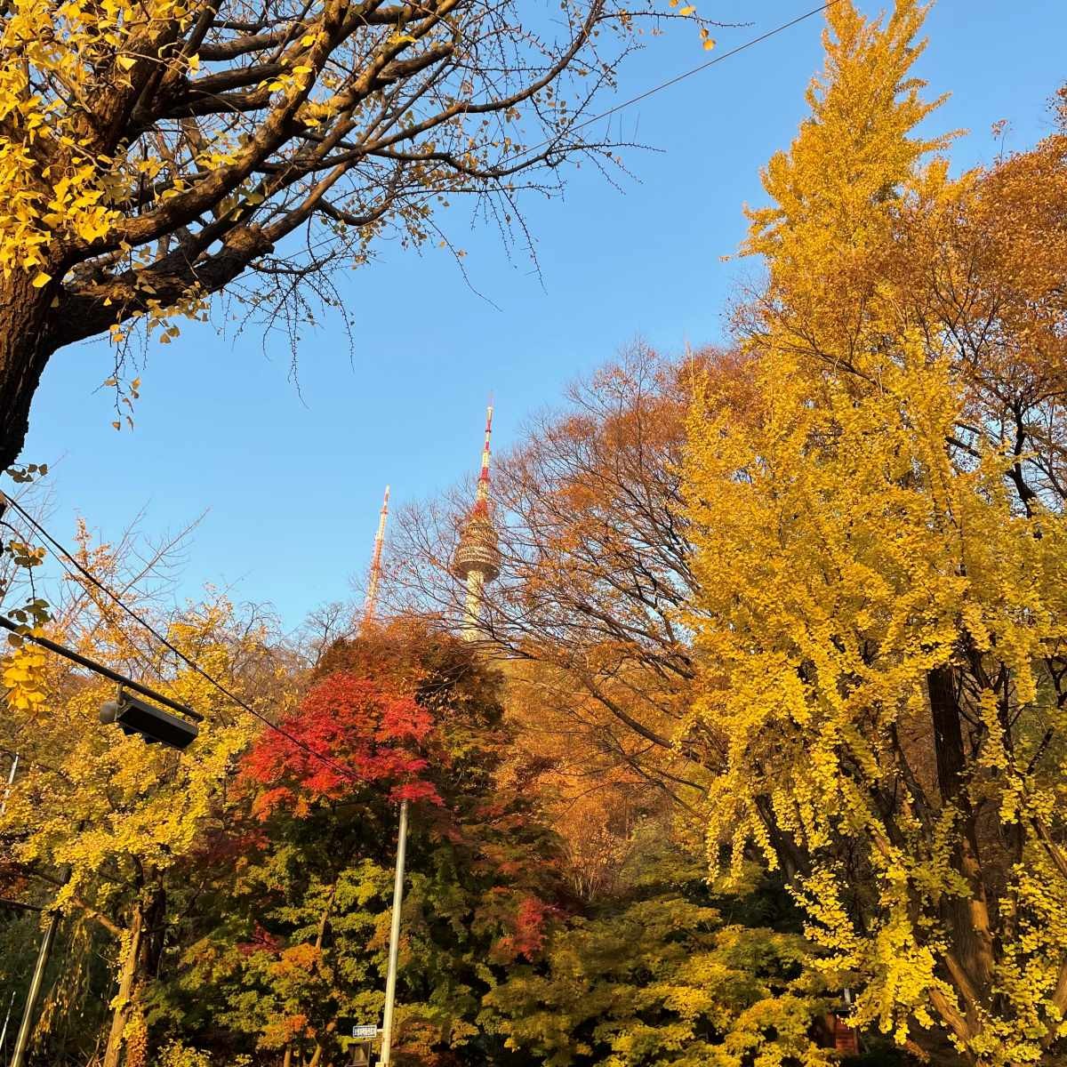 후암동에서 바라본 남산. / 위키트리 이서희 기자