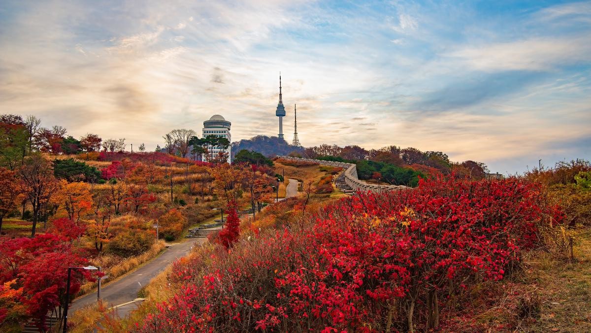 서울 남산공원백범광장. / Chan008-shutterstock.com