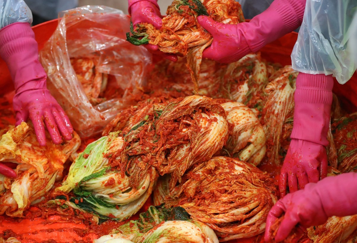 김장김치를 만들고 있는 봉사자들 자료 사진 / 뉴스1