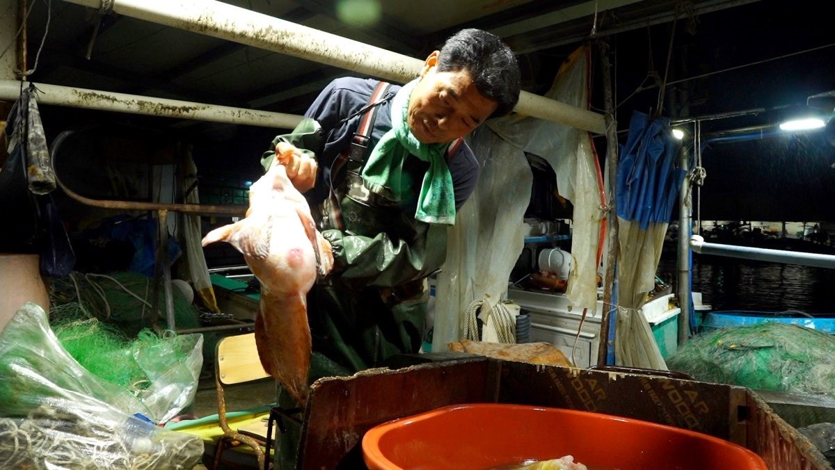 EBS1 '한국기행' 미리보기 페이지에서 제공하는 '물곰 왔드래요' 편 자료 사진. / EBS1 제공