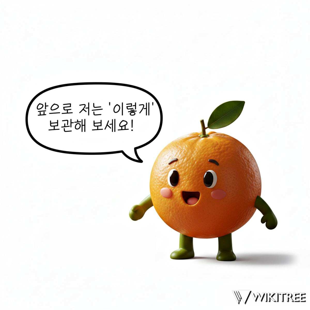 '올바른 귤 보관 방법은?' / 위키트리