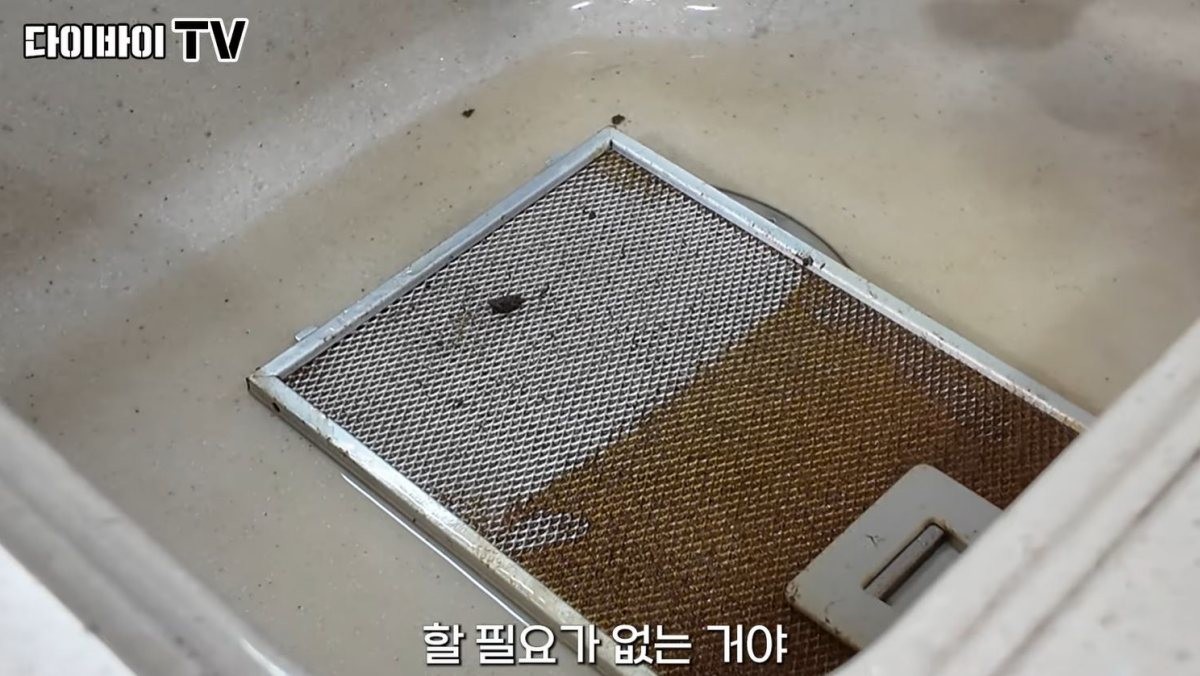 유튜브 채널 '다이바이TV' 영상 장면 중 일부. / 유튜브 '다이바이TV'