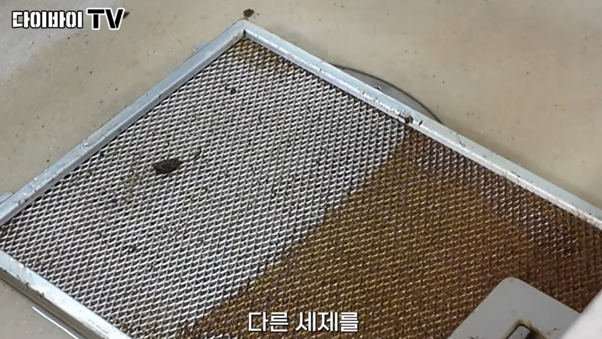 유튜브 채널 '다이바이TV' 영상 장면 중 일부. / 유튜브 '다이바이TV'