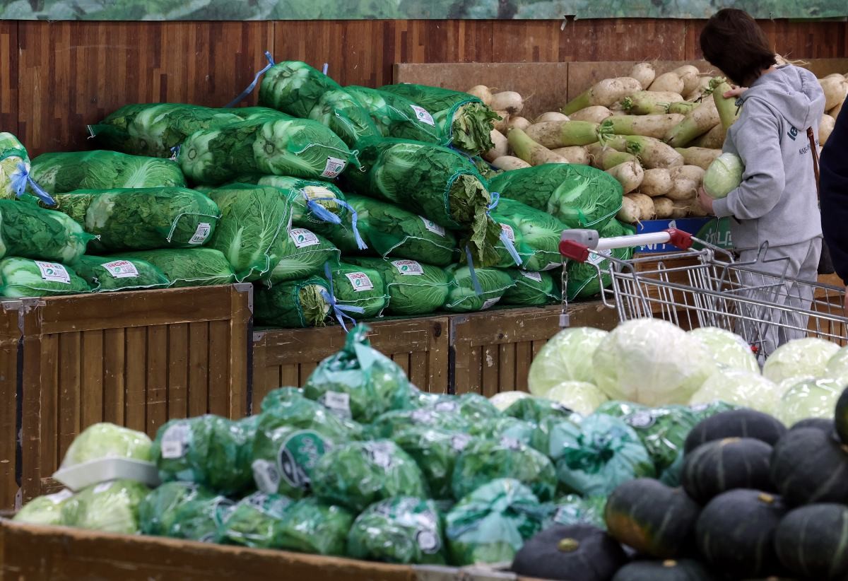 서울의 한 대형마트에 진열된 배추와 무 / 연합뉴스