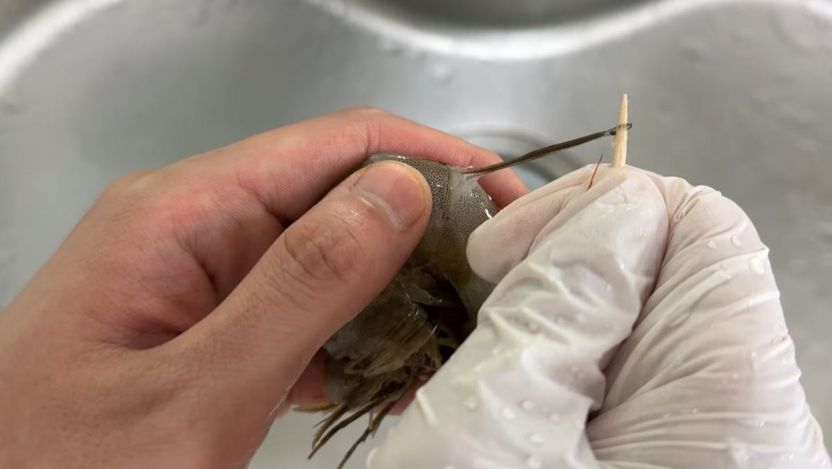 새우 등 뒤에 소화관을 제거하는 모습. / 유튜브 '집나간아들 Runaway Son'