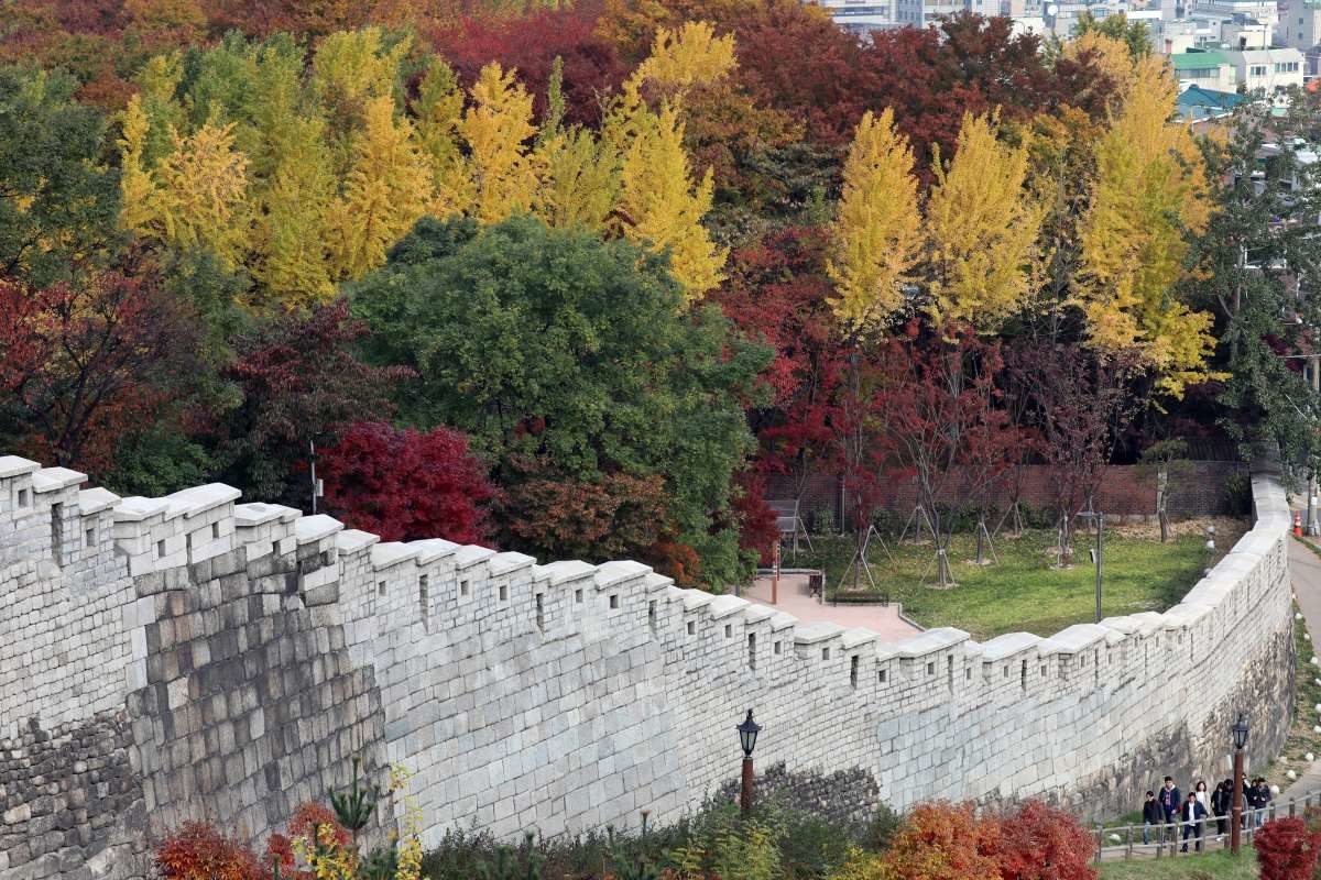 낙산공원 성곽길. / 뉴스1