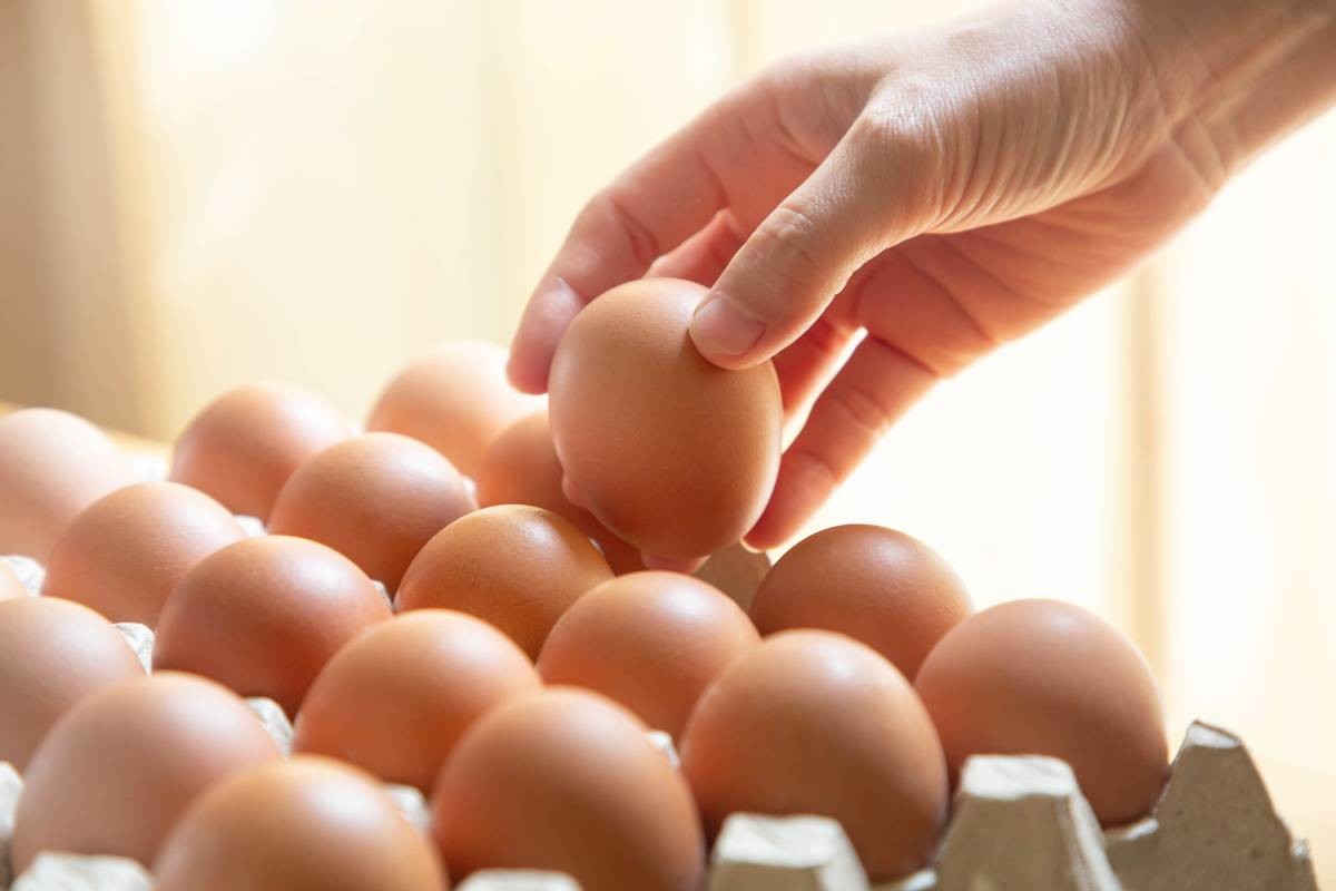 계란 / Wor Jun-Shutterstock.com