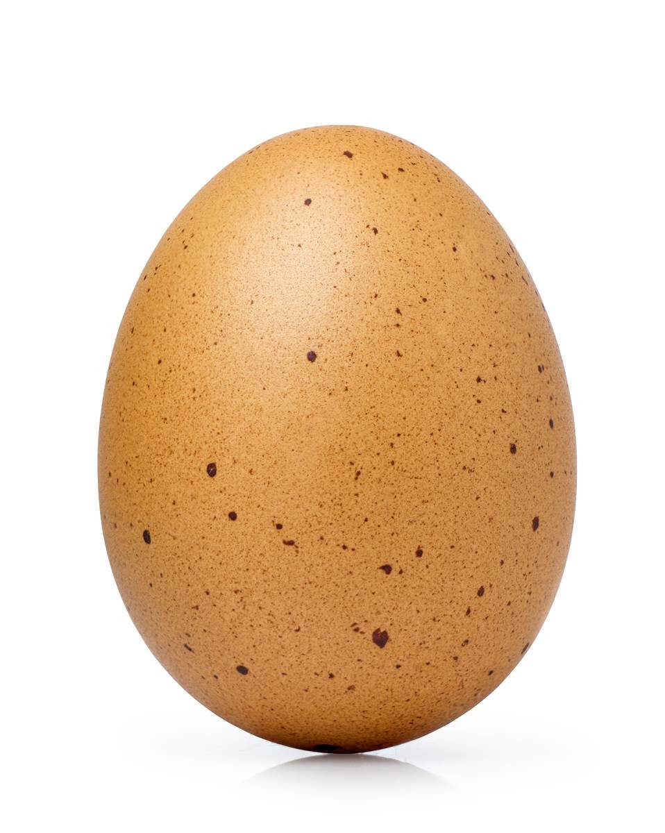 계란 껍데기 반점 / Arnont.tp-Shutterstock.com