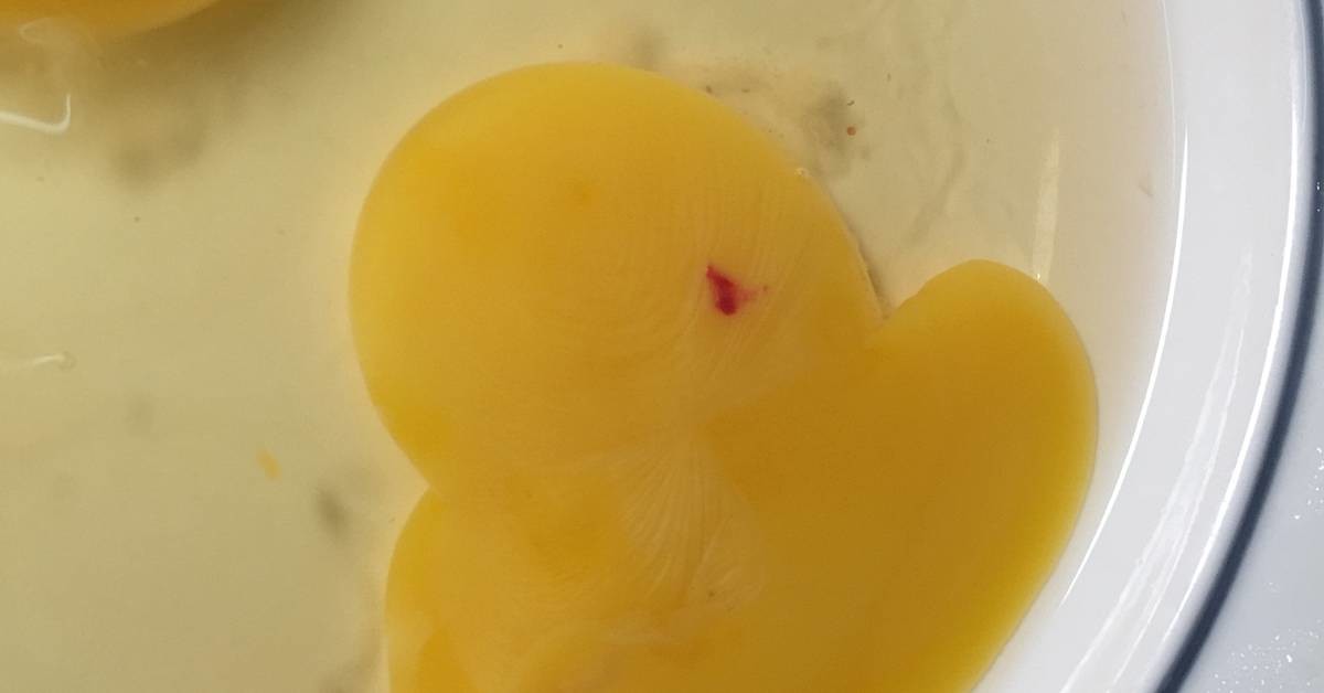 계란 속 빨간 점, 정체는 혈반 / kathrinerajalingam-Shutterstock.com