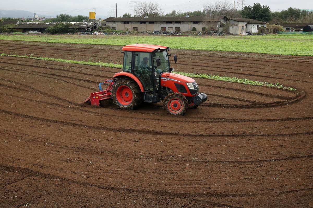 지난 13일 오전 대구 동구 숙천동 들녘에서 한 농부가 양파를 심기 위해 트랙터를 이용해 여름내 풀이 자란 밭을 부지런히 갈고 있다. 10월 중순~하순 무렵 심는 양파는 겨울을 지나 내년 4~6월 수확하게 된다 / 뉴스1
