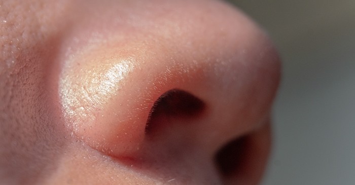 기사의 이해를 돕기 위한 사진 / Cans Creative-shutterstock.com