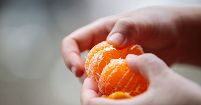 귤 / Photoongraphy-shutterstock.com