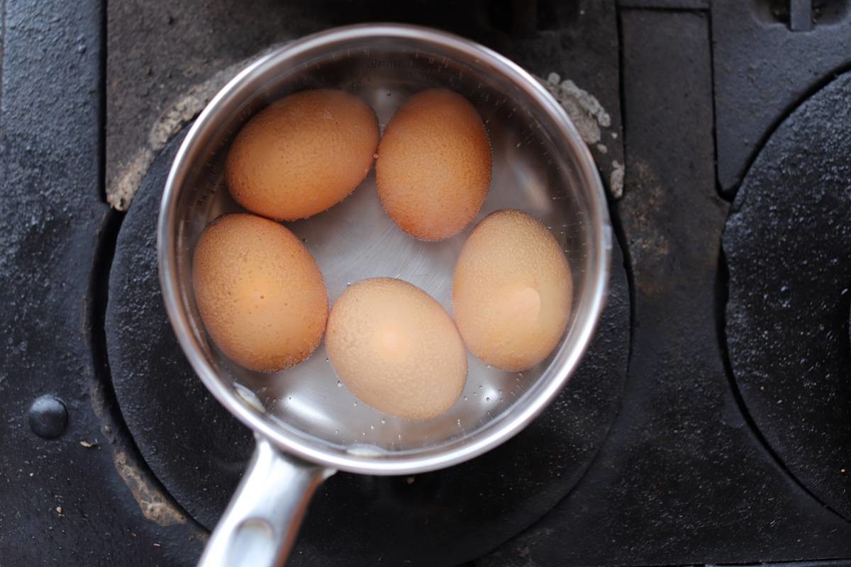 계란 삶기 / Karla Ferro-Shutterstock.com