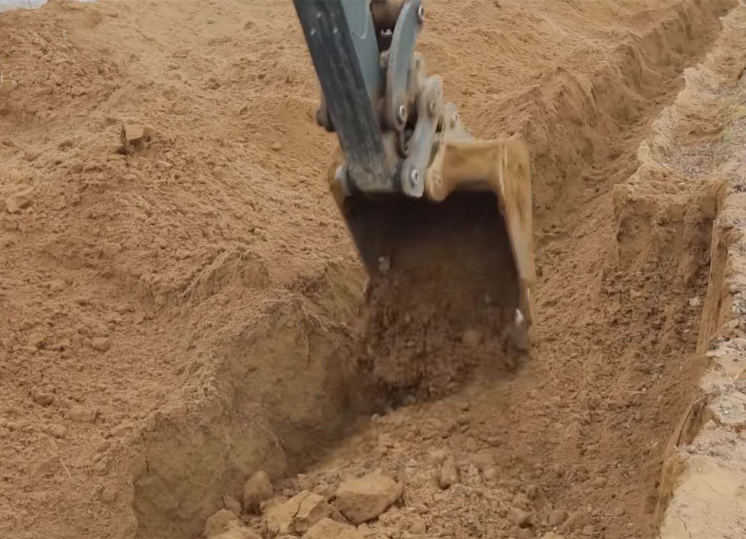 마 수확 모습 / EBS