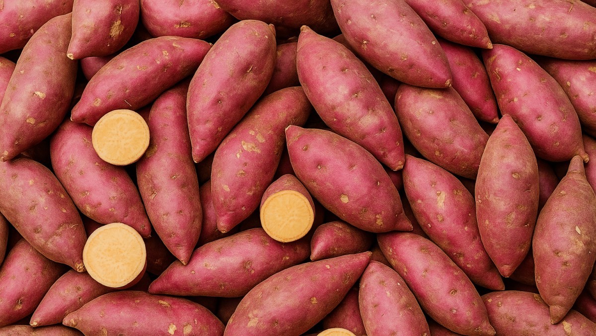 기사의 이해를 돕기 위해 AI로 만든 이미지