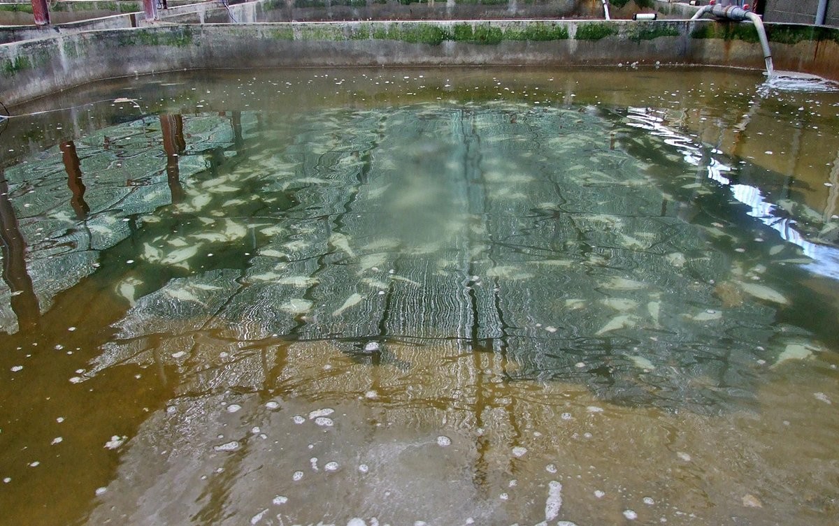 육상양식장 자료 사진. 기사와 관련 없음. / 뉴스1