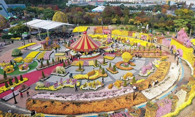 함평군이 10일 “10월 24일부터 11월 9일까지 17일간 함평엑스포공원에서 열린 ‘2025 대한민국 국향대전’에 17만 7천여 명의 관람객이 다녀가며 성황리에 막을 내렸다”고 밝혔다.  / 노해섭 기자