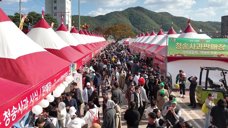 제19회 청송사과축제장 전경/청송군