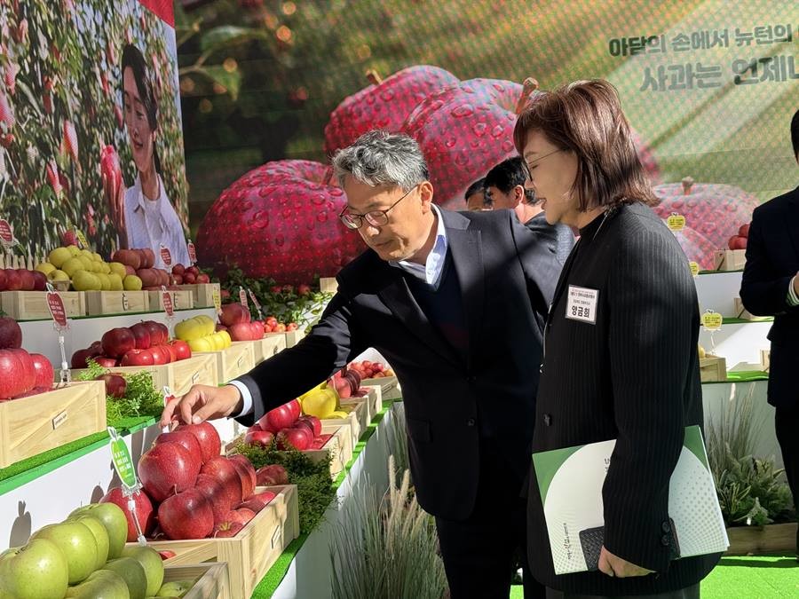 ‘2025 경북사과 홍보행사’에서 양금희 경북도 경제부지사/이하 경북도