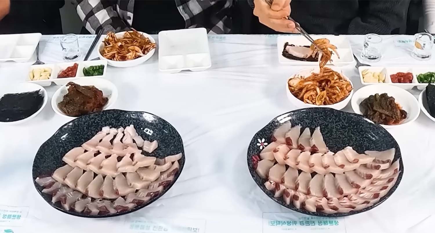 삼치 선어로 만든 회. / '마초TV' 유튜브