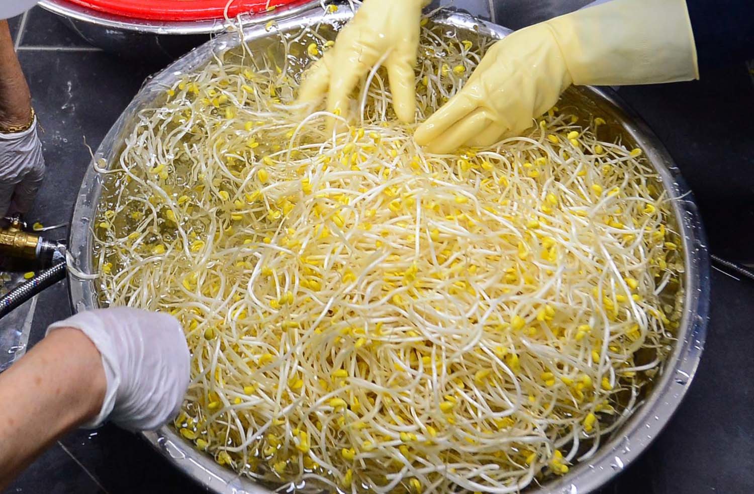 콩나물 / 뉴스1 자료사진