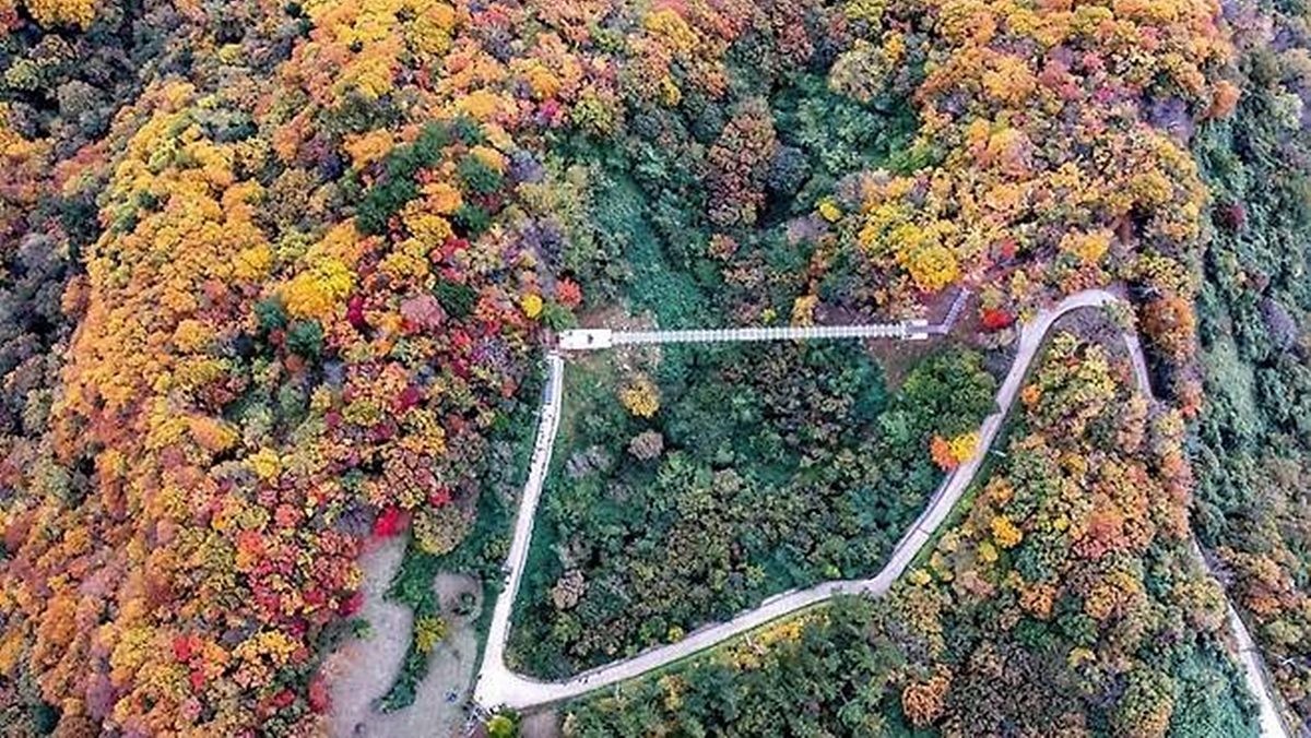 공중에서 본 해담길 울렁다리 / 울릉군 제공