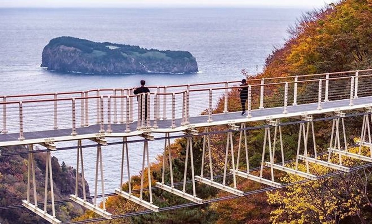 울릉도의 새로운 랜드마크로 각광받는 울렁다리 / 울릉군 제공