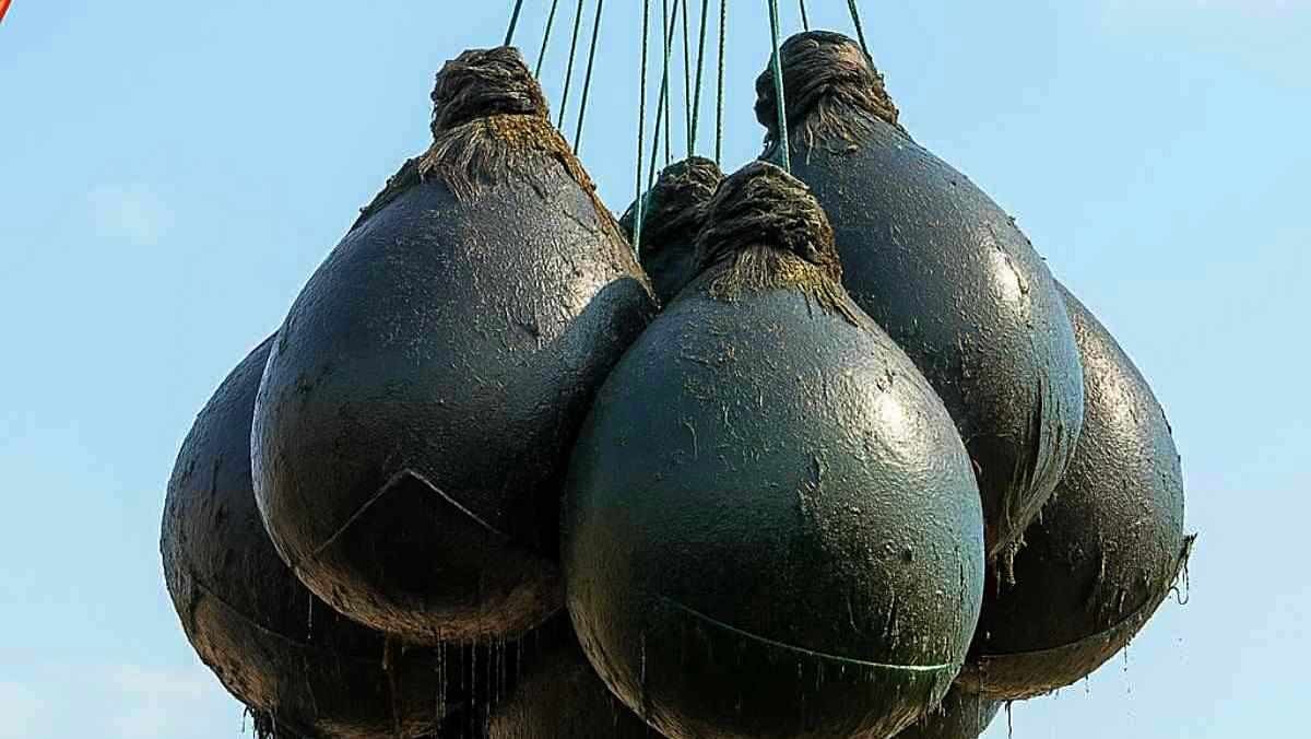 기사 내용을 바탕으로 AI가 생성한 자료사진. 곱창김 포대들.